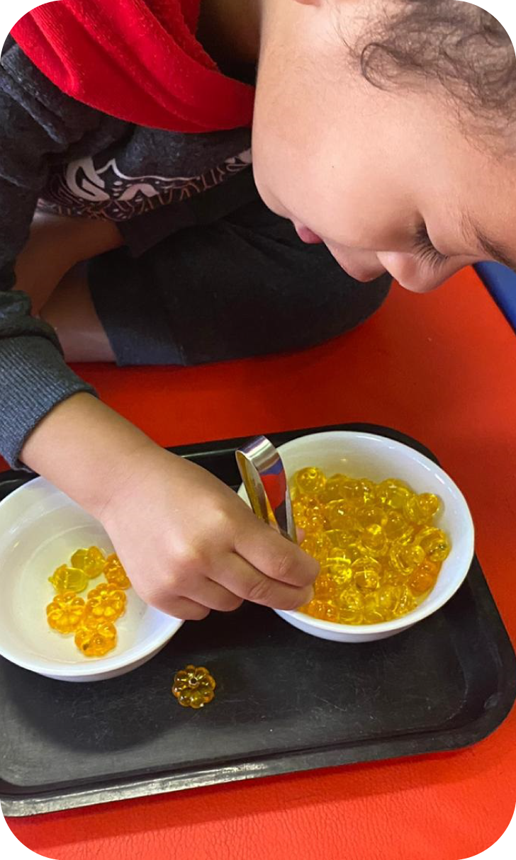 Image gallery marquee